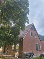 Tijdelijk te huur. Voorhuis van boerderij in midwolde