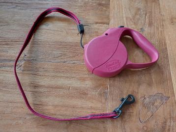 hondenriem/koord Flexi 1 Classic Roze/rood beschikbaar voor biedingen