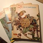 4x Rizla Zo leer je vogels kennen - Exotische volièrevogels, Ophalen of Verzenden, Gelezen, Vogels