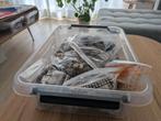 12 kilo Wereldmunten (zeer net). Per kilo €9.50 Zie omschr., Postzegels en Munten, Ophalen of Verzenden, Buitenland