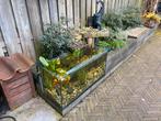Tuin aquarium vijver waterval border inclusief filter, Tuin en Terras, Vijvers, Ophalen of Verzenden, Zo goed als nieuw