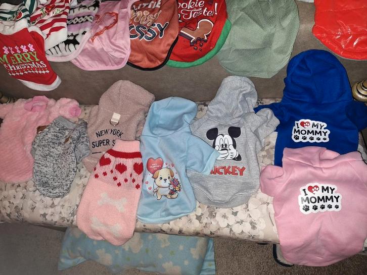 Mooie Honden jasjes&truitjes tekoop, Dieren en Toebehoren, Honden-accessoires, Zo goed als nieuw, Ophalen of Verzenden