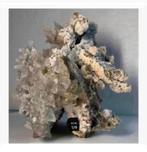 Korting Honds-tand calciet op kwarts, 16x10x13 cm, 1100 gr, Ophalen of Verzenden