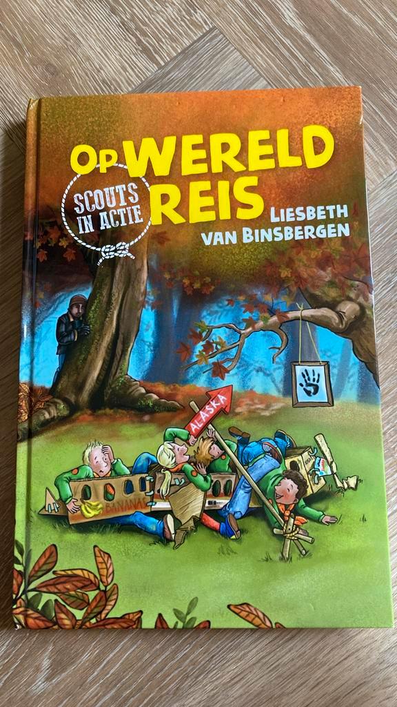 Liesbeth van Binsbergen - Op wereldreis, Boeken, Kinderboeken | Jeugd | 10 tot 12 jaar, Zo goed als nieuw, Ophalen of Verzenden
