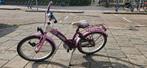 Meisjes fiets 20 inch roze/paars, Minder dan 47 cm, Ophalen of Verzenden, Gebruikt, Staal