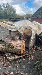 Haardhout eiken, 6 m³ of meer, Ophalen, Eikenhout, Blokken