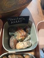 Turitella Agaat, Ophalen of Verzenden, Mineraal