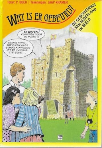 P Boer: Wat is er gebeurd?  Geschiedenis Nederland in beeld beschikbaar voor biedingen