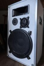 Zelfbouw speakers PA 15" 2 x, Overige merken, Gebruikt, Ophalen of Verzenden, 120 watt of meer