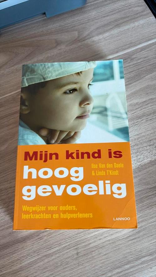 Ilse van den Daele - Mijn kind is hooggevoelig, Boeken, Zwangerschap en Opvoeding, Zo goed als nieuw, Ophalen of Verzenden