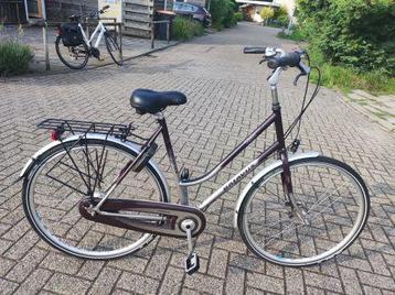 batavus dazmes 7 speed beschikbaar voor biedingen