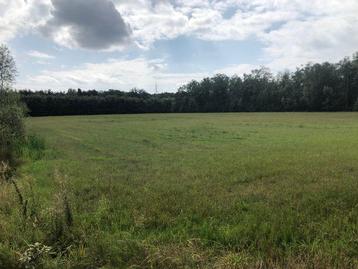 GEZOCHT !  Weiland huren( toekomst kopen) in eigen beheer. beschikbaar voor biedingen