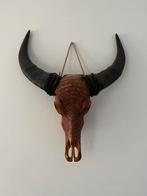 Buffel schedel skull cognac, Ophalen, Zo goed als nieuw, Schedel