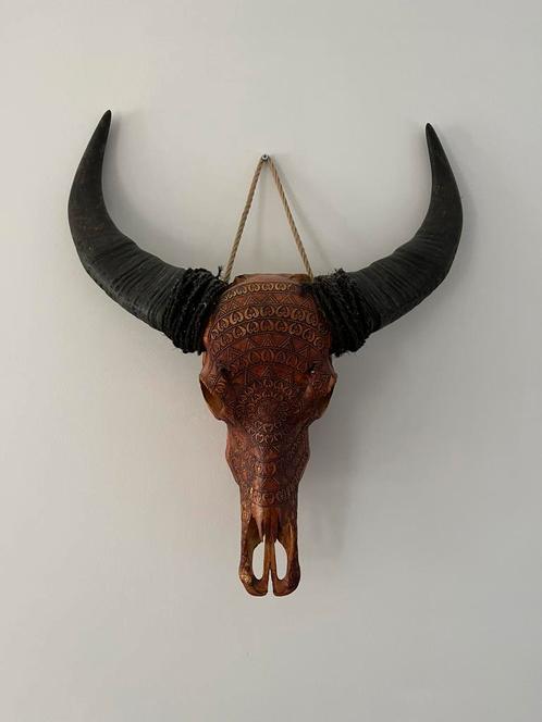Buffel schedel skull cognac, Verzamelen, Dierenverzamelingen, Zo goed als nieuw, Schedel, Ophalen