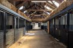 Stalhulp gezocht, Diensten en Vakmensen, Dieren | Paarden | Verzorging, Oppas en Les