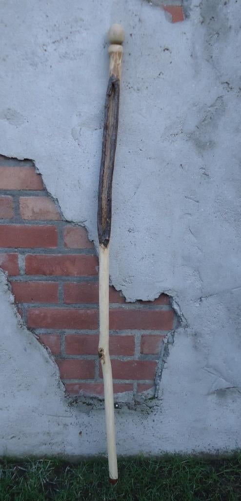 Lang + stevig + natuurlijk gevormd - WANDELSTOK ( 20 ) UNIEK, Ophalen of Verzenden, Nieuw