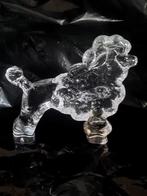 Kosta Boda poedel . Bertil Vallien, Verzamelen, Beelden en Beeldjes, Ophalen of Verzenden, Zo goed als nieuw, Dier