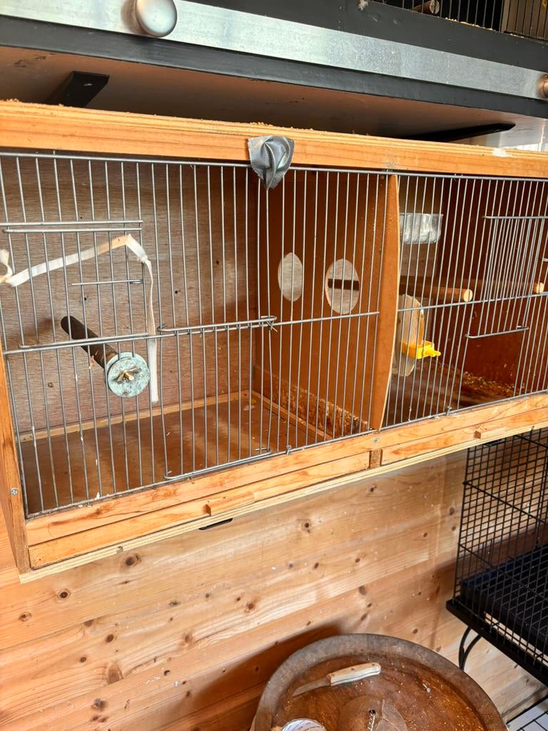 Houten vogelpoortje gratis af te halen, Dieren en Toebehoren, Ophalen, Gebruikt, Hout, Broedkooi of Kweekkooi