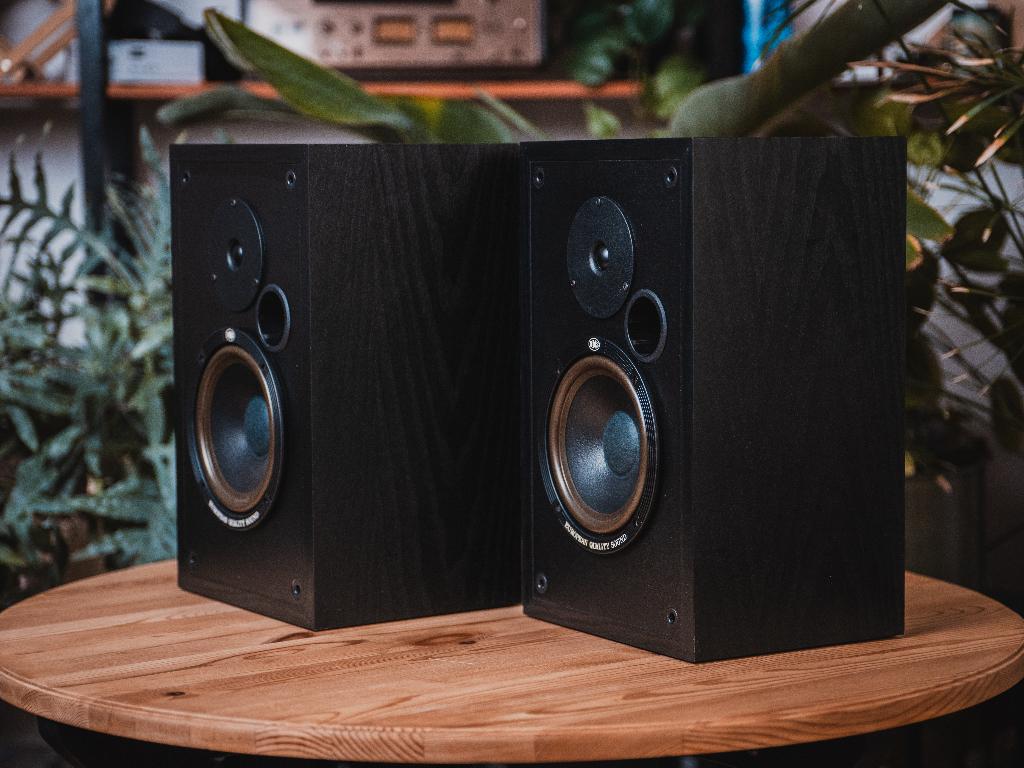 BNS | E12 S Luidsprekers, Audio, Tv en Foto, Luidsprekers, Gebruikt, Front, Rear of Stereo speakers, 60 tot 120 watt, Overige merken