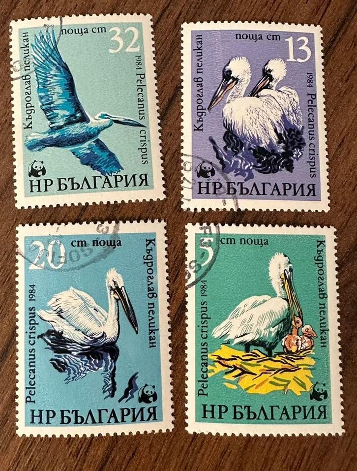 Bulgarije 1984 Pelikanen vogels gestempeld, Ophalen of Verzenden, Bulgarije, Gestempeld
