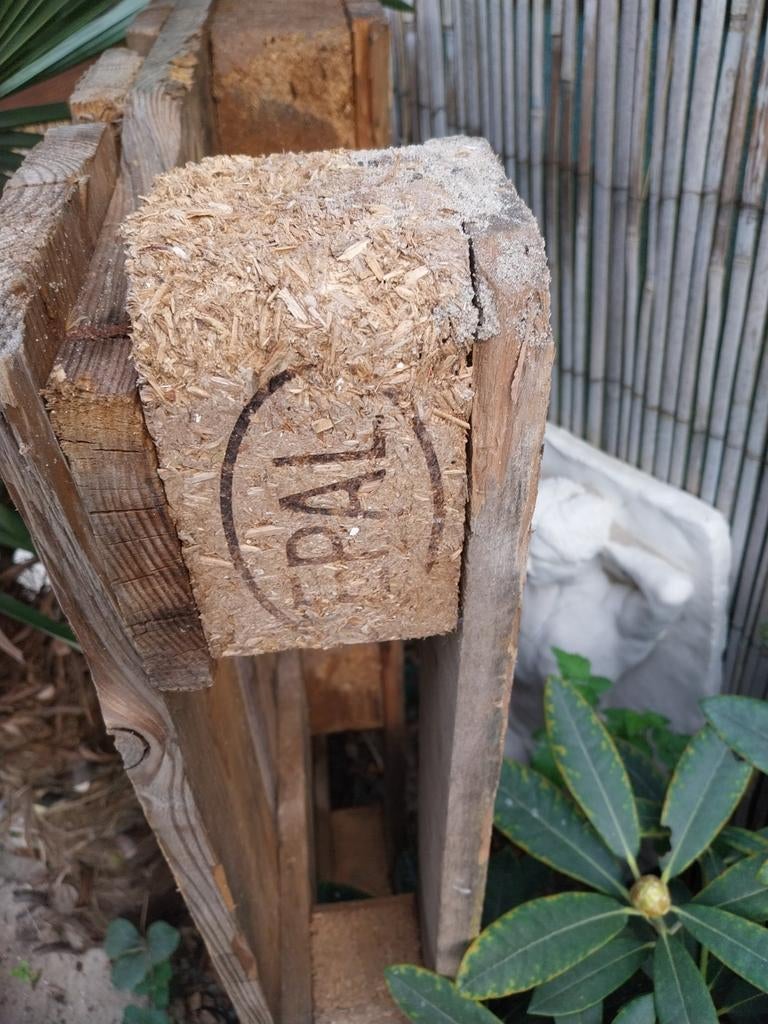 Euro pallet gratis, Ophalen of Verzenden, 50 mm of meer, Minder dan 200 cm, Vuren