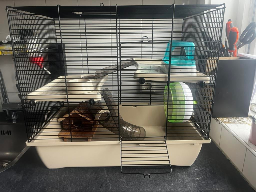 Hanster kooi, Minder dan 60 cm, Kooi, Minder dan 75 cm, Ophalen of Verzenden