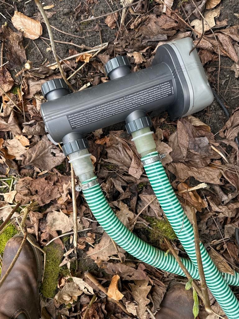 Prachtige grote koi karpers, Dieren en Toebehoren, Vissen | Vijvervissen, Karper of Koi