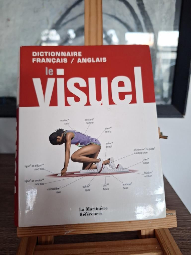 Dictionnaire Français / Anglais Le Visuel, Ophalen of Verzenden, Zo goed als nieuw, Overige uitgevers