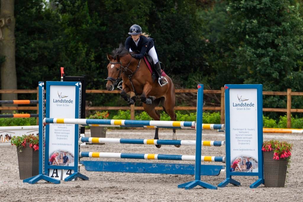 Zadelmak maken & pensionstalling