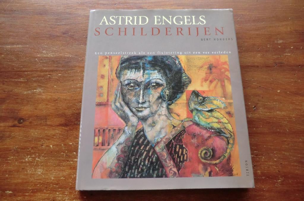 schildersboek - Astrid Engels - Schilderijen - Bert Honders, Ophalen of Verzenden, Gelezen, Schilder- en Tekenkunst