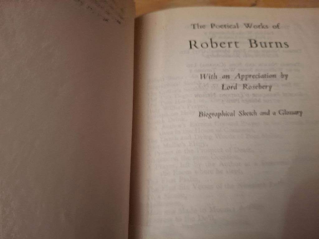 The Poetical Works of Robert Burns, Verzenden, Gelezen, Fictie