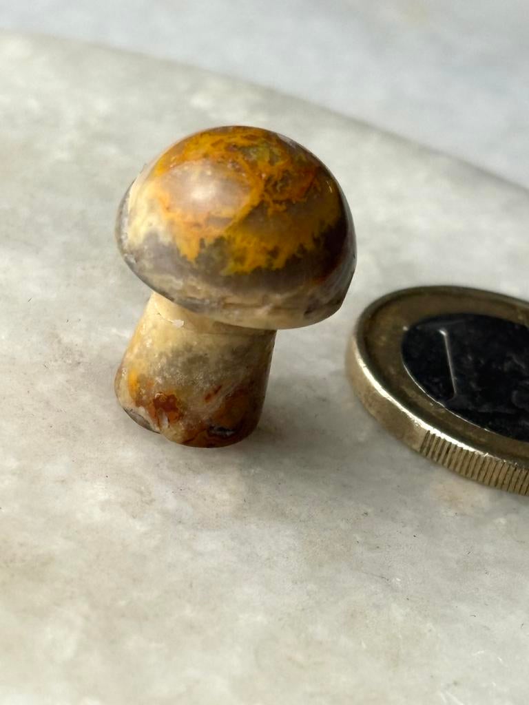 Agaat paddestoel nr 453, Ophalen of Verzenden