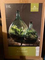 Plant Terrarium Starter Set - 15L Fles, Ophalen