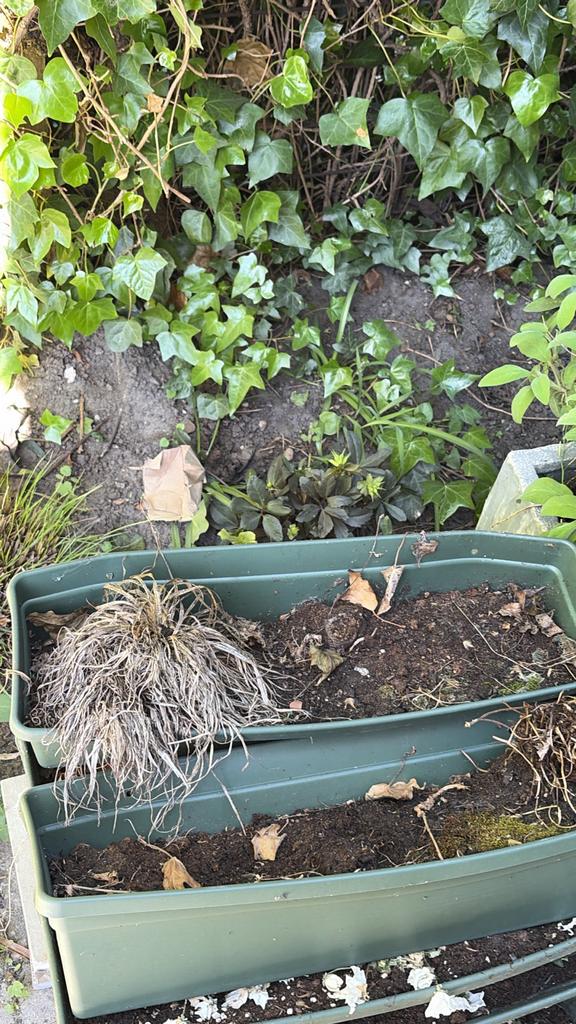 6 groene plastic bloembakken, Ophalen, Kunststof, Gebruikt, Minder dan 30 cm