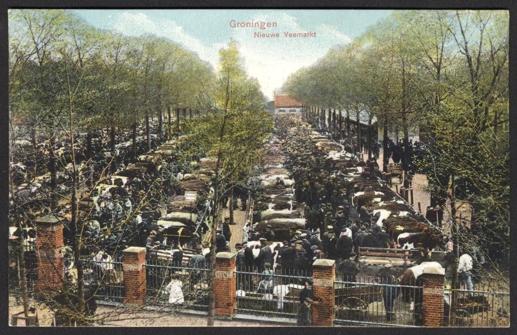 ansichtkaart, Groningen, Nieuwe Veemarkt, Verzenden, Voor 1920, Gelopen, Groningen