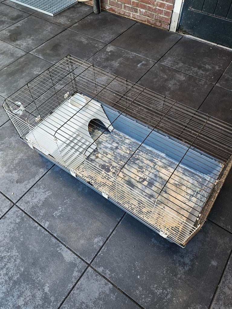 Caviahok, Dieren en Toebehoren, Ophalen, Kooi, Minder dan 60 cm