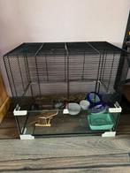 Mooie glazen Hamsterkooi, Dieren en Toebehoren, Ophalen