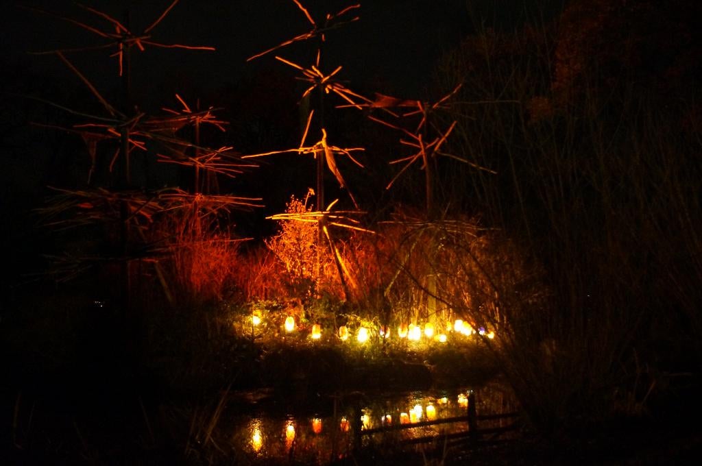 tulpen eigen ontwerp  straat versiering 25 stuks, On, On, Zo goed als nieuw, Ophalen