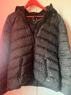 Maison Scotch jas met luipaardprint zwart/bordeaux, Ophalen of Verzenden, Zo goed als nieuw, Maat 38/40 (M), Overige kleuren