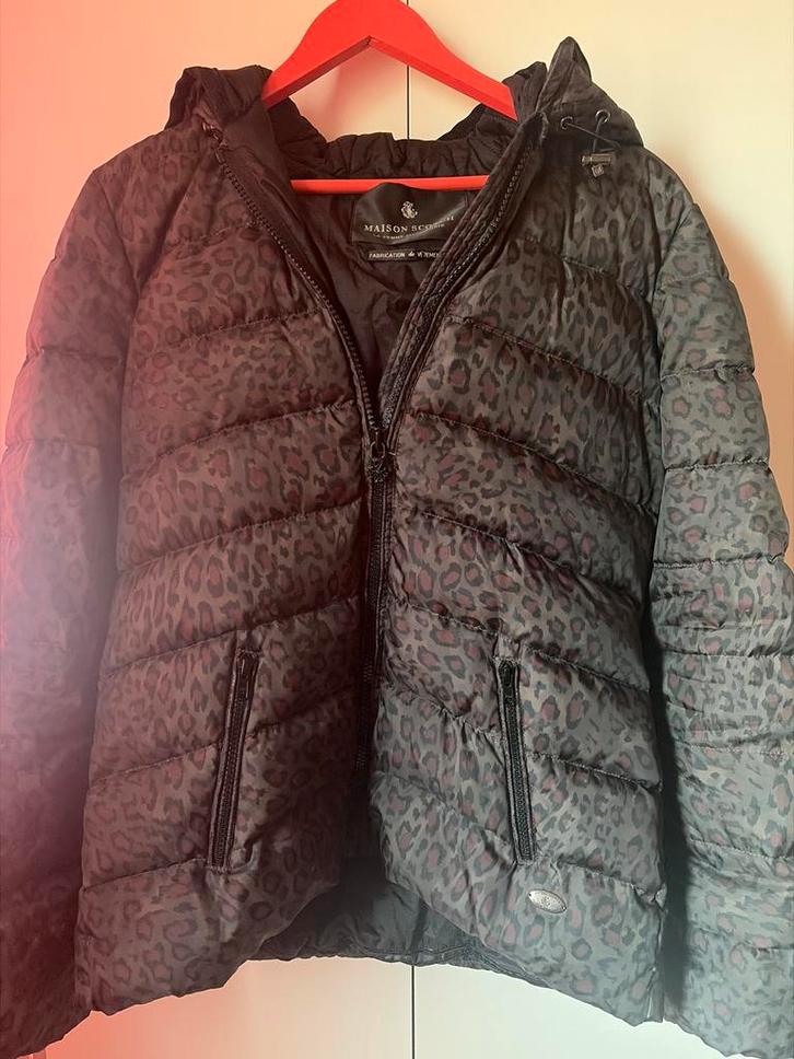 Maison Scotch jas met luipaardprint zwart/bordeaux, Kleding | Dames, Jassen | Winter, Zo goed als nieuw, Maat 38/40 (M), Overige kleuren