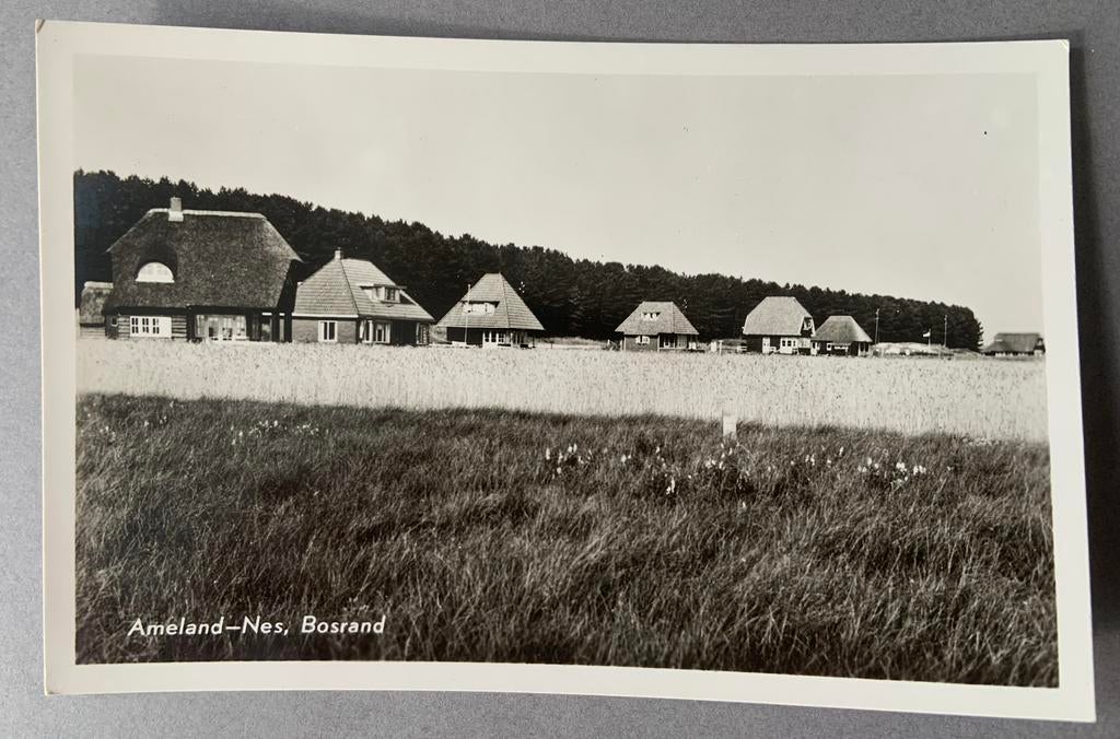 Ameland- Nes, Bosrand, Ophalen of Verzenden, Ongelopen, Waddeneilanden