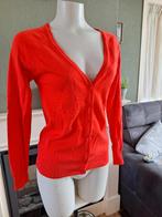 Zara rood nette cardigan vest mt L 42 44, Verzenden, Zara, Maat 42/44 (L), Zo goed als nieuw