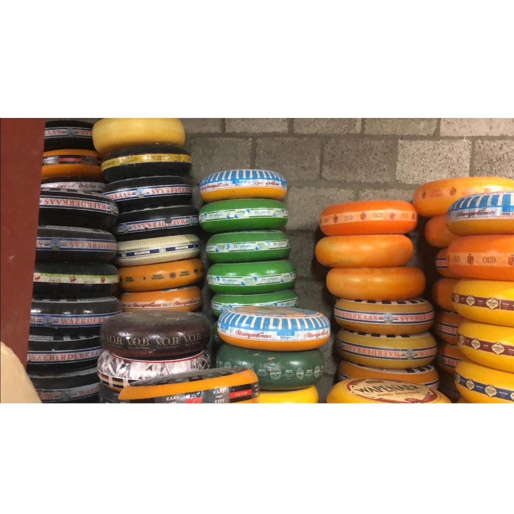 Kaasdummie 10x35cm Breedte 35 cm - Kaas, Verzamelen, Merken en Reclamevoorwerpen, Nieuw, Overige typen, Ophalen