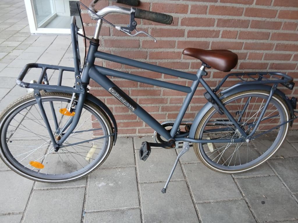 Popal 24inch jongensfiets te koop, Fietsen en Brommers, Fietsen | Jongens, Ophalen of Verzenden, Gebruikt, 24 inch