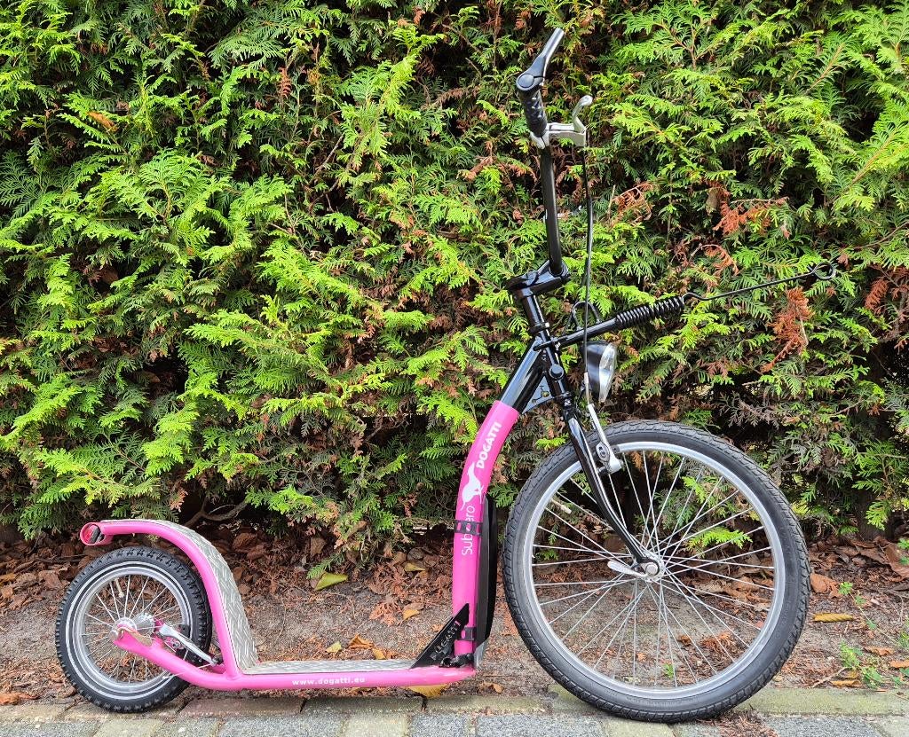 DOGATTI hondenstep, Ophalen, Gebruikt, Overig speelgoed