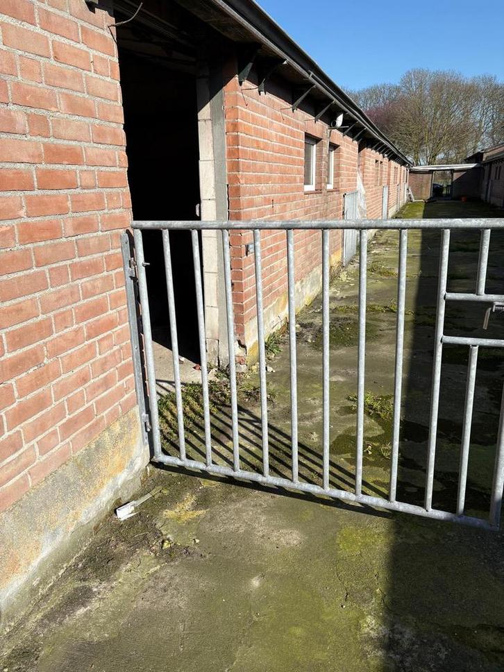 Div. hekken, Dieren en Toebehoren, Stalling en Weidegang, Toebehoren