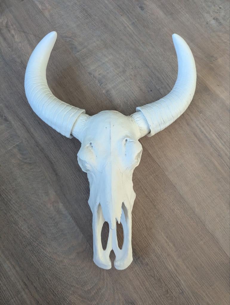 Decoratief schedel, Ophalen of Verzenden, Zo goed als nieuw