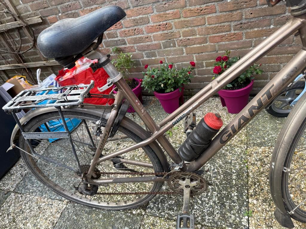 Giant damesfiets, Gebruikt, Velgrem, Versnellingen, 56 cm of meer