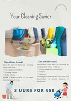 Your cleaning savior or your baby sitter is nearby you !, Ophalen of Verzenden, Nieuw, Maat 38/40 (M), Carnaval