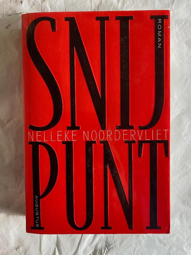 Nelleke Noordervliet: Snijpunt, Boeken, Literatuur, Gelezen, Ophalen of Verzenden